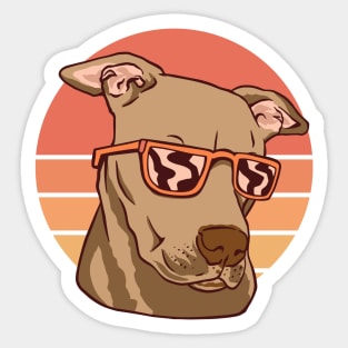 Summer Pitbull Sticker